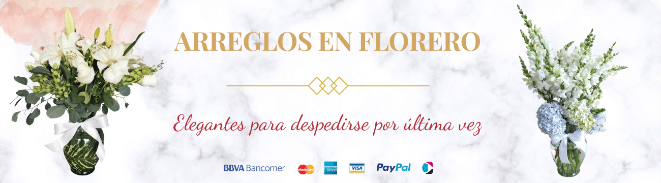 Banner de la Tienda
