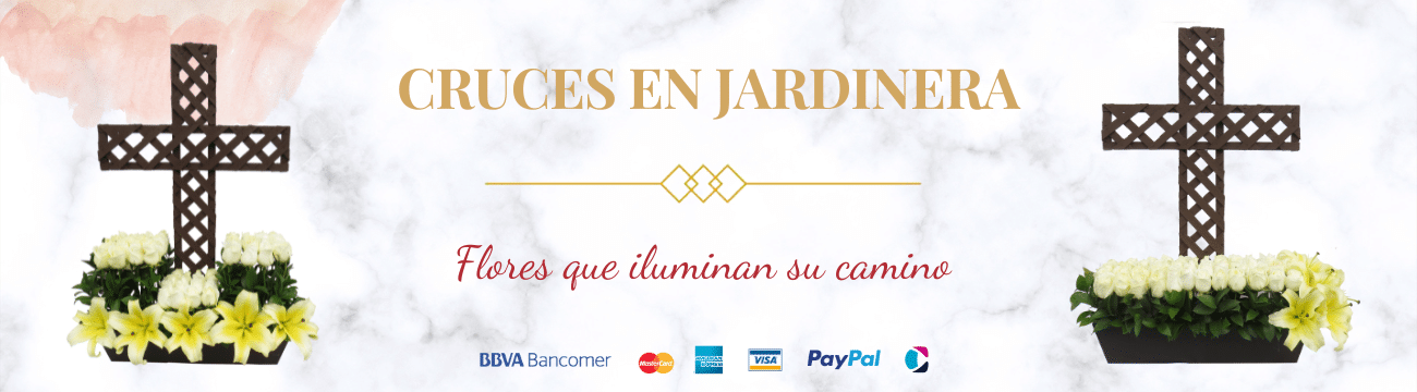 Banner de la Tienda